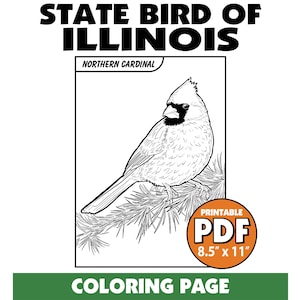 Cardenal Norteño, ave estatal de Illinois: página para colorear imprimible - DESCARGAR PDF