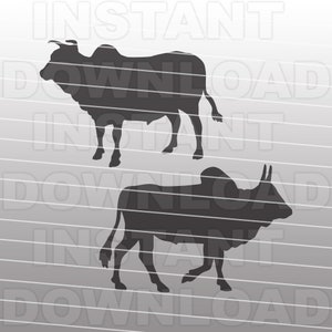 Zebu SVG File,Farm Animal SVG,Livestock SVG,Cattle svg