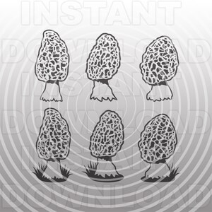 Morel paddestoel SVG-bestand, paddestoel jacht SVG-vector clipart commercieel en persoonlijk gebruik-Cricut, silhouet, cameo, vinyl cut SVG, opstrijkbare vinyl