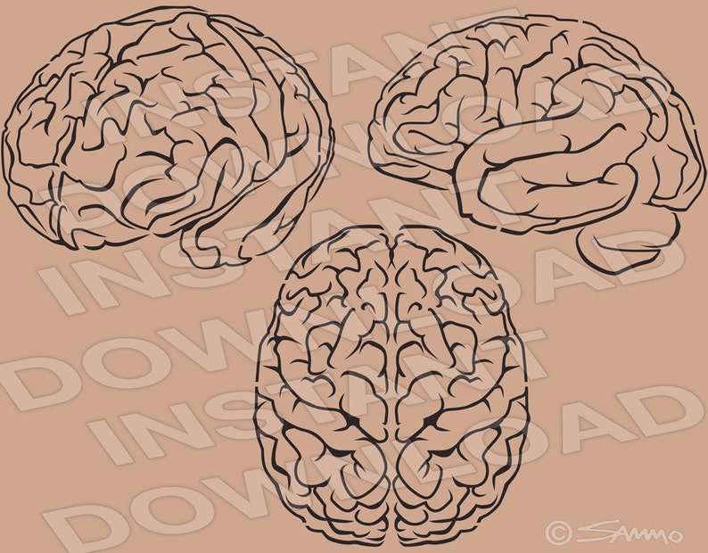 Brains Halloween SVG File Cutting Template-vector Clip Art for - Etsy