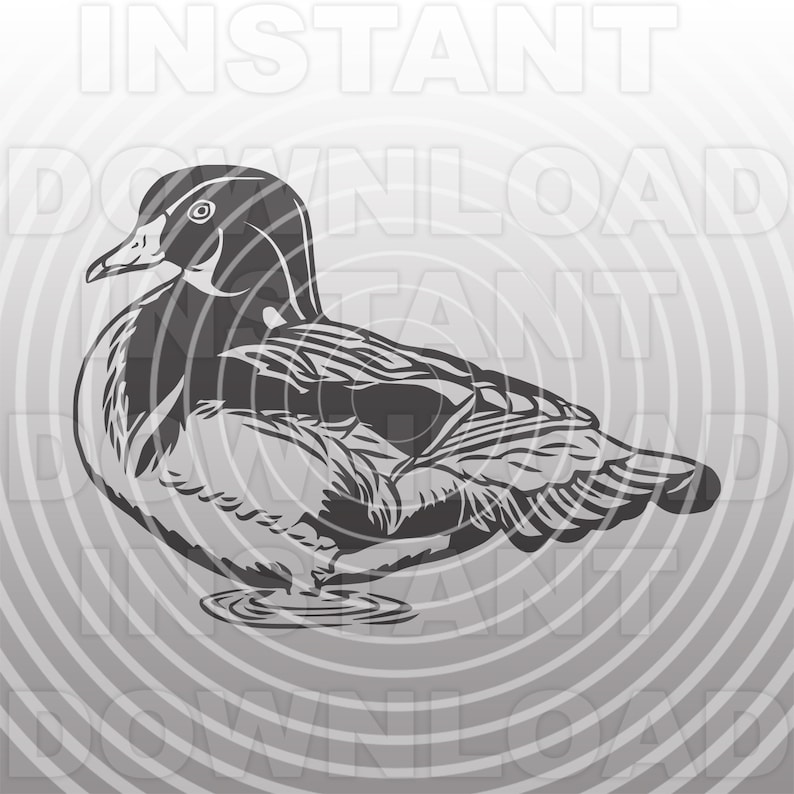 May include: A black and white illustration of a duck with its head turned to the left. The duck is standing in water, with ripples around it.