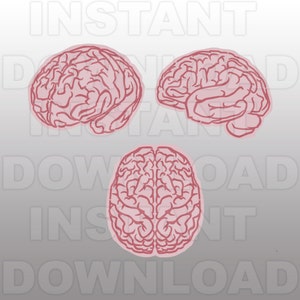 Puede incluir: Tres ilustraciones del cerebro humano en rosa, mostrando las diferentes vistas del cerebro. El cerebro es un órgano vital del cuerpo humano.