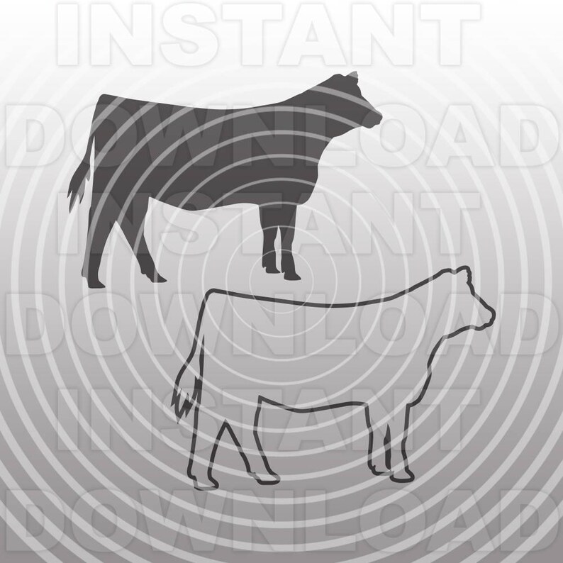 Free Free American Express Card Svg 905 SVG PNG EPS DXF File