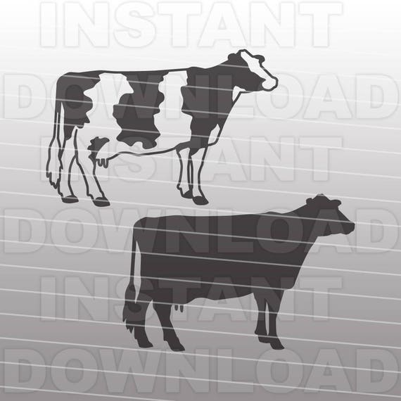 Holstein Dairy Cow Svg Filecow Svglivestock Svg Vector Clip Etsy
