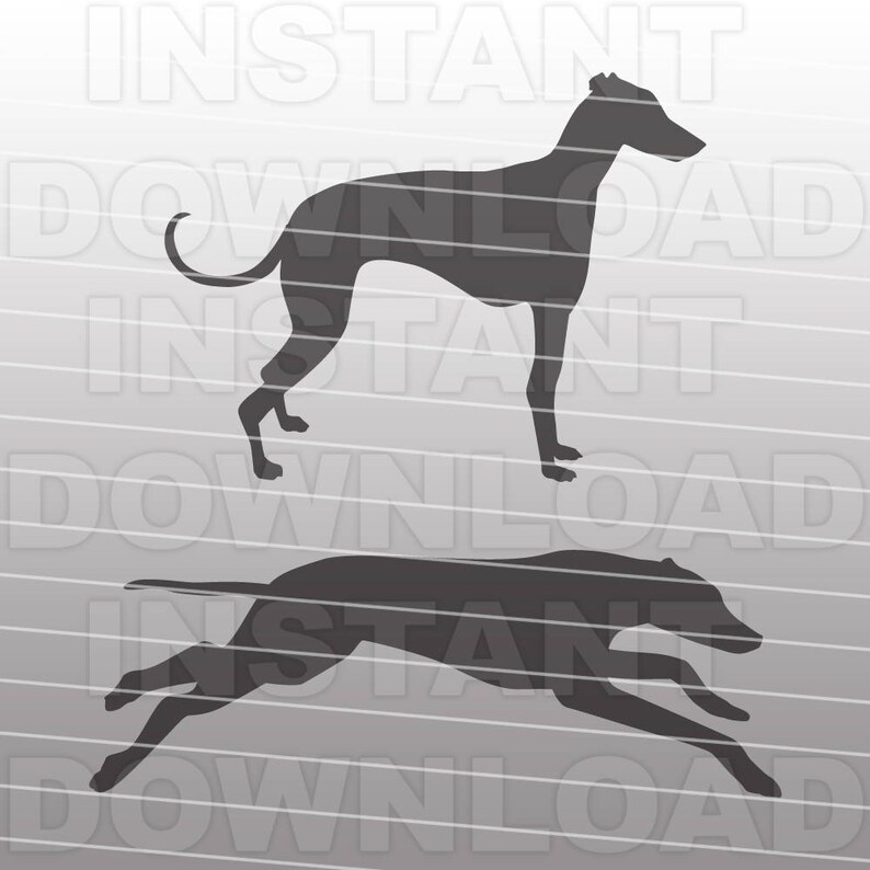 May include: Two black silhouettes of greyhounds. One greyhound is standing, the other is running.