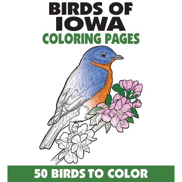 50 Birds of Iowa Coloring Pages Book,Birdwatching Coloring Pages,Adults + Kids,Instant Download,Printable PDF,Animals + Nature