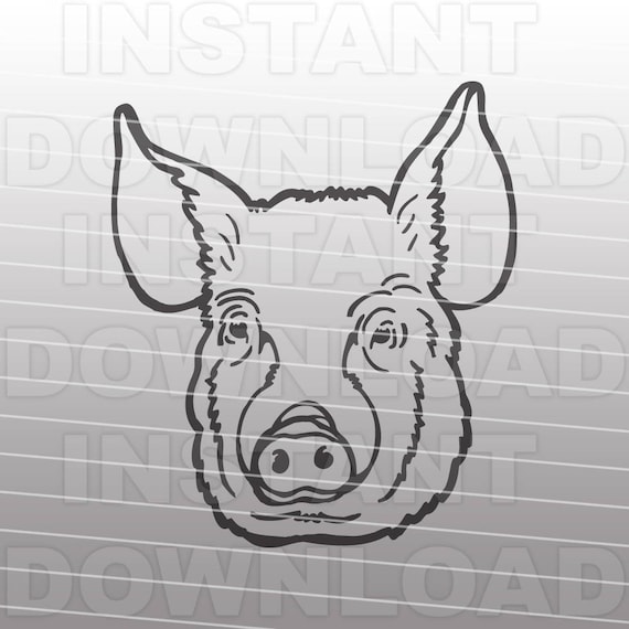 Download Free Pig Face Svg Filestock Show Pig Svg Filelivestock Svg Ffa Etsy SVG Cut Files