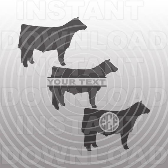 Fluffy Cows SVG File,Fluffy Steer SVG,Cattle svg,Cow svg,Stock Show svg -Vector Art Commercial & Personal Use- Cricut Air,Cameo,Silhouette