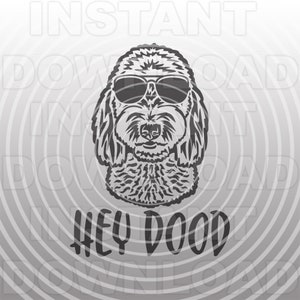 Goldendoodle Labradoodle con occhiali da sole File SVG, Hey Dood SVG - Arte vettoriale commerciale e uso personale - Cricut, Silhouette, Cameo, Taglio vinile