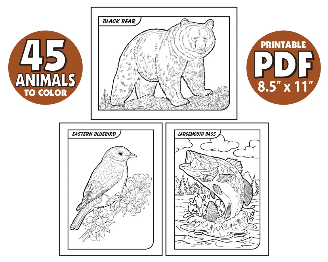 45 Wild Animals of Alabama Coloring Pages Book,fish + Birds + Mammals ...
