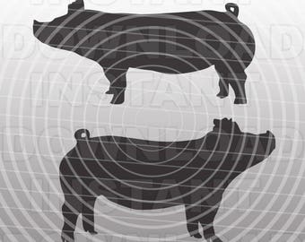 Show Pigs Livestock - Farm Animal SVG File Cutting Template-Vector Clip Art for Commercial & Personal Use-Download-Cricut,Cameo,Explore,SCAL