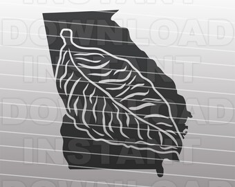 tobacco products cause various forms of cancer The Many Dangers of Tobacco Use