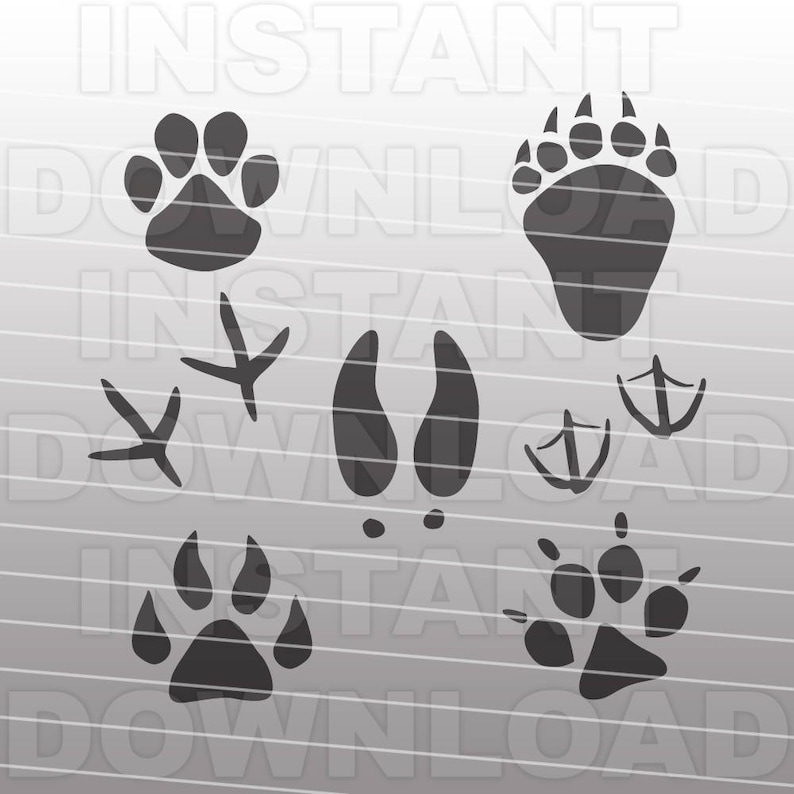 Download Animal Tracks SVG FilePaw Prints SVG FileHunting SVG File | Etsy
