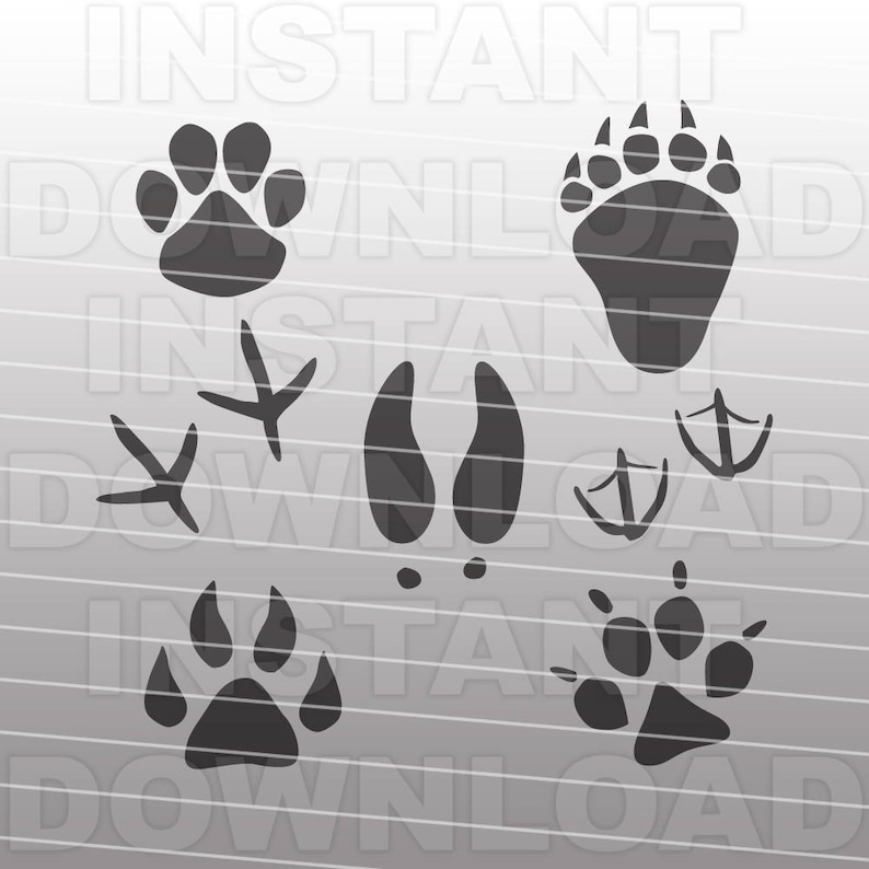 Download Animal Tracks SVG FilePaw Prints SVG FileHunting SVG File ...