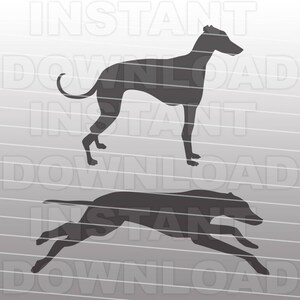 May include: Two black silhouettes of greyhounds. One greyhound is standing, the other is running.
