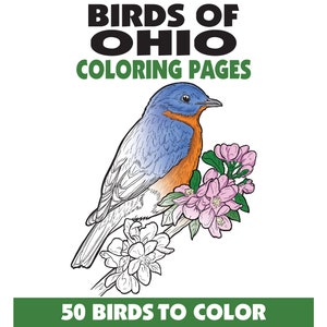 May include: A coloring book cover featuring a bluebird perched on a flowering branch. The text at the top reads "BIRDS OF OHIO COLORING PAGES" and the bottom text says "50 BIRDS TO COLOR". The bird has blue, orange, and white coloring.