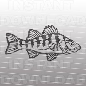 Archivo SVG de perca, pesca de perca svg, pescador svg -Arte vectorial para uso comercial y personal- Cricut,Silueta,Cameo,Calcomanía de vinilo,Hierro en vinilo