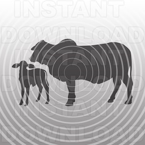Brahman Heifer And Calf SVG File, Livestock SVG, Farm Animal SVG -Vector Clip Art Commercial & Personal Use-Cricut,Silhouette,Cameo,Vinyl Cut