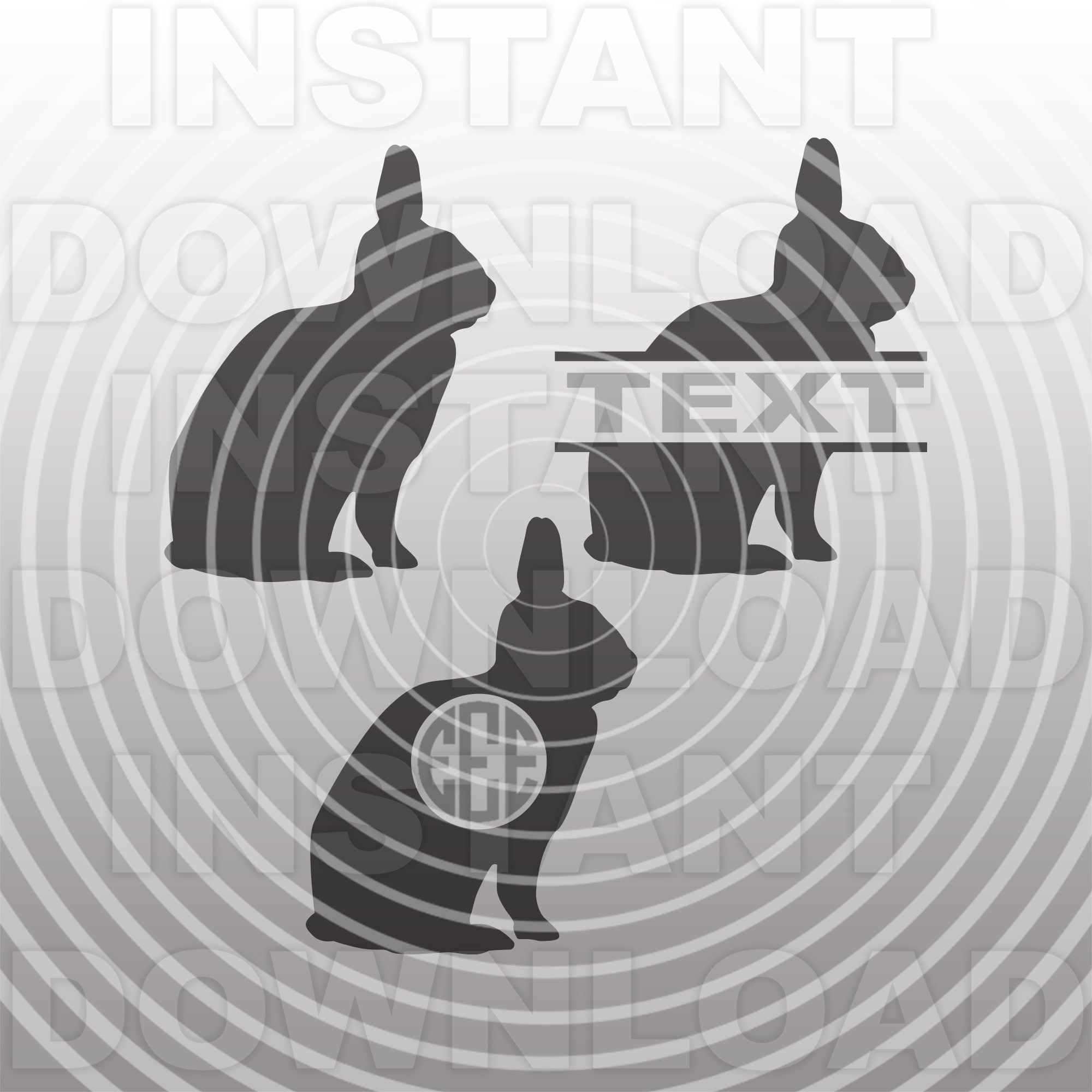 Polish Rabbit SVG File,show Rabbit Svg,bunny Rabbit Svg -vector Art ...