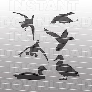 Paquete SVG, archivo SVG de pato, archivo SVG de ánade real, archivo SVG de caza de patos, archivo de corte de imágenes prediseñadas vectoriales, uso comercial/personal para Cricut, Cameo, Silhouette