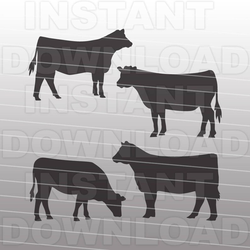 Show Heifer SVGLivestock svgFarm Animal SVG FileCutting Etsy