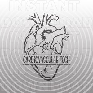 Tecnico cardiovascolare con file SVG di cuore anatomico - Vector Clipart commerciale e uso personale - Cricut, Cameo, Silhouette, decalcomania in vinile