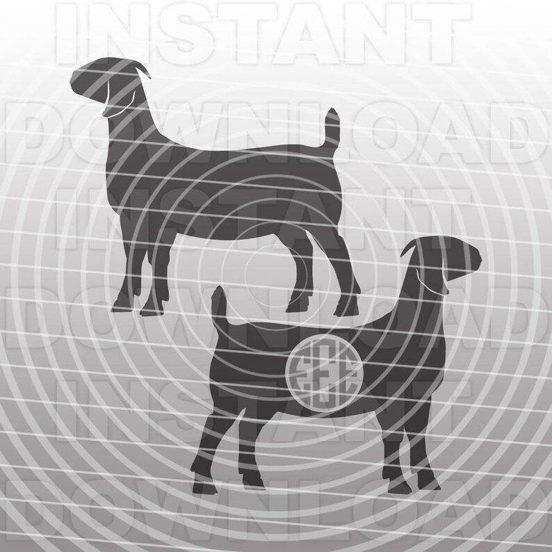 Boer Goat SVG FileSHow Goat SVG FileFFA svgLivestock svg | Etsy