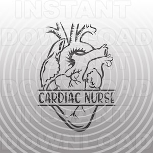Registered Cardiac Nurse with Anatomical Heart SVG File -Vector Clipart Commercial & Personal Use- Cricut,Cameo,Silhouette,Vinyl Decal