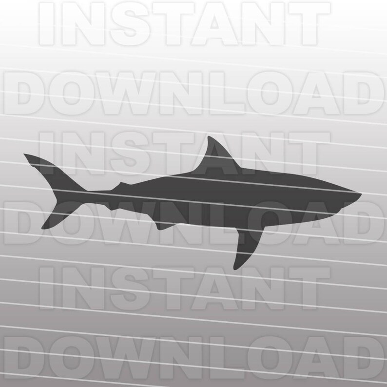 Free Free 77 Shark Svg File SVG PNG EPS DXF File