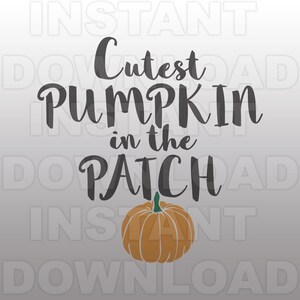 May include: A gray graphic with the text "Cutest Pumpkin in the Patch" and an orange pumpkin with a green stem.