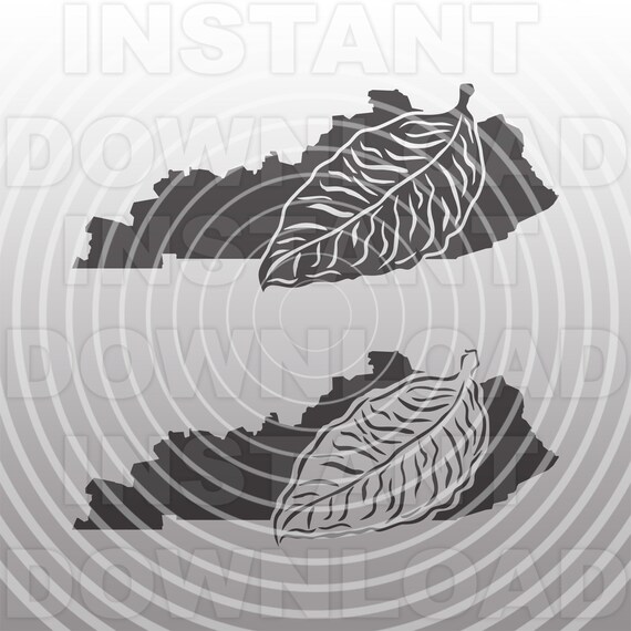 vector tobacco leaf Brown leaves illustration isolated on white background Stock Vector Image & Art Kentucky with Tobacco Leaf SVG