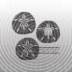 May include: Three gray sand dollar silhouettes with a stylized star design in the center. The bottom sand dollar has the text "YOUR TEXT" below it.