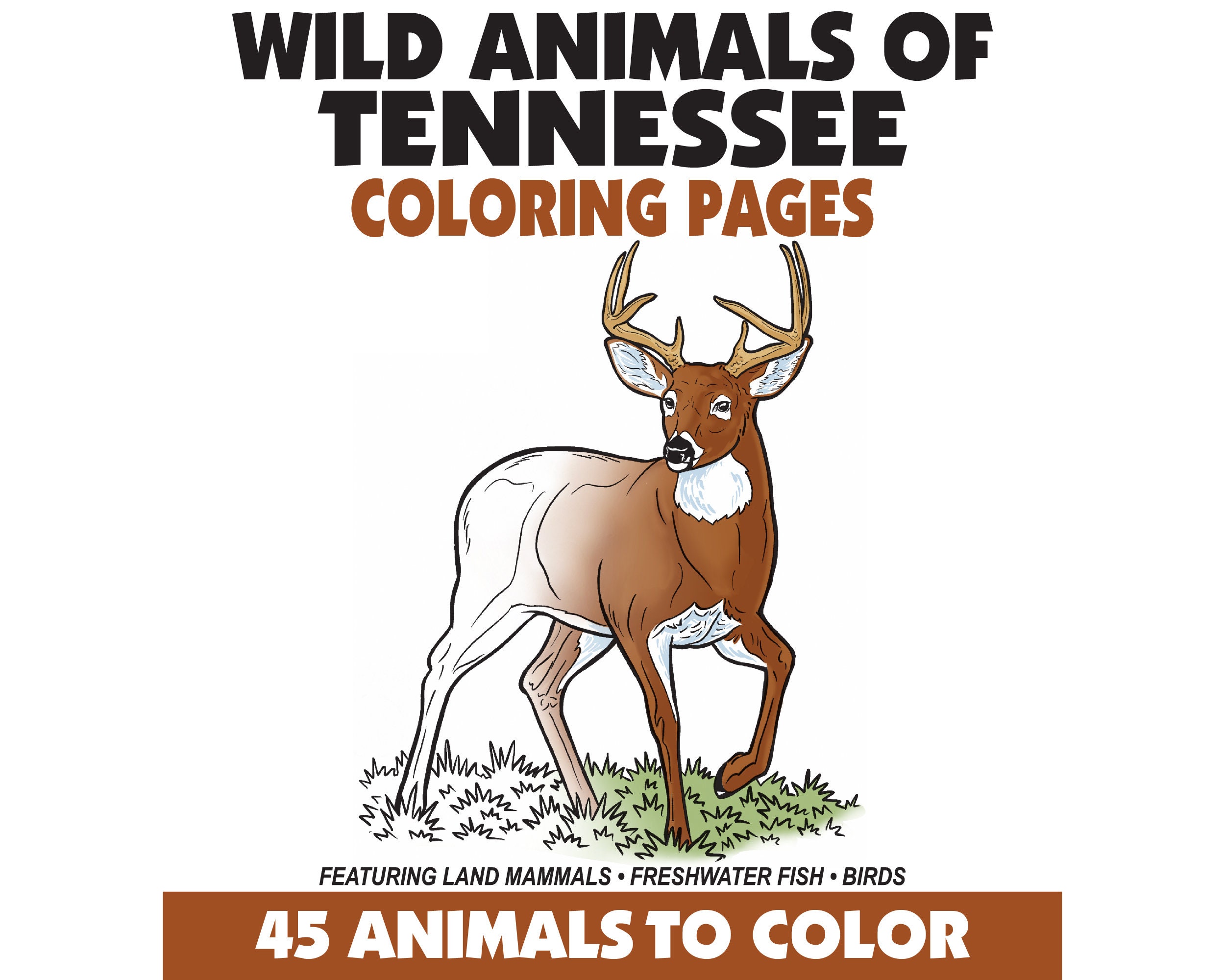 45 Wild Animals of Tennessee Coloring Pages Book,fish + Birds + Mammals  Coloring Pages,instant Download,printable Pdf,animals + Nature - Etsy, image size:2500x2000