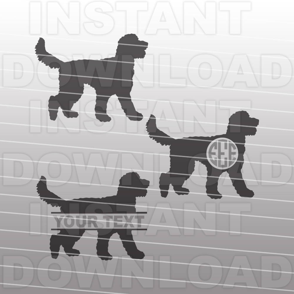 Goldendoodle Puppies, Rescue, Pictures, Information