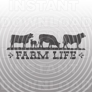 Scène de vie à la ferme avec Brangus Show Cattle SVG File -Vector Clipart Commercial & Personal Use- Cricut, Silhouette Cameo, vinyle svg, vinyle décalcomanie