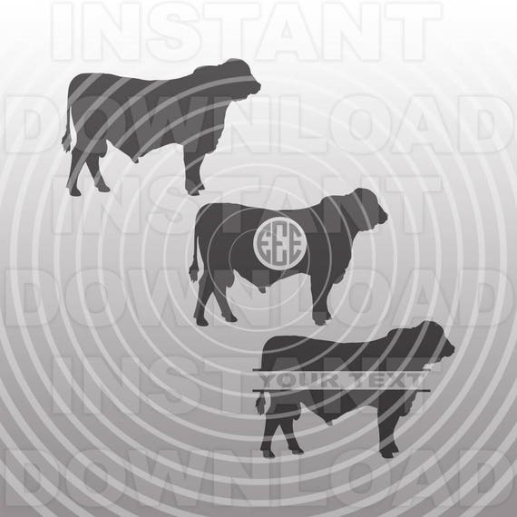 Brangus Bull SVG File,livestock Svg,farm Animal SVG File-cutting  Template-vector Art for Commercial & Personal Use-download-cricut,cameo -  Etsy