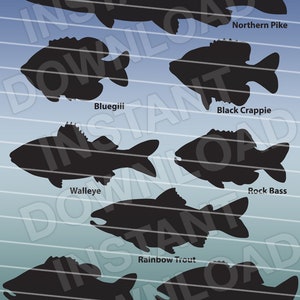 Assorted Fish Silhouettes Clipart - bass, pike, bluegil, crappie, walleye, trout, SVG File or Commercial and Personal Use