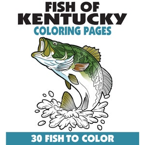 30 Fish of Kentucky Kleurplaten Boek, Vissen Kleurplaten, Volwassenen + Tieners + Kinderen, Instant Download, Afdrukbare PDF, Dieren + Natuur