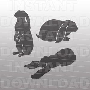 Lop Rabbit SVG File, Lop-Eared rabbit SVG, Bunny Rabbit svg -Commercial & Personal Use- Vector Art SVG Cut File Silhouette, Cricut Cutter