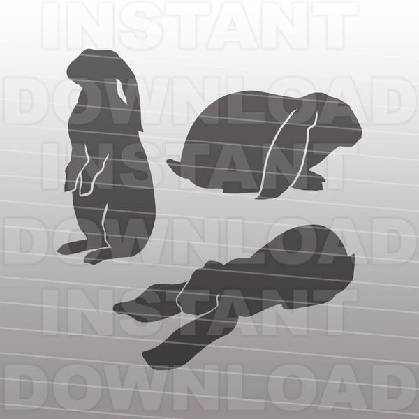 Lop Rabbit SVG File, Conejo de orejas caídas SVG, Bunny Rabbit svg -Uso comercial y personal- Vector Art SVG Cut File Silhouette,Cricut Cutter