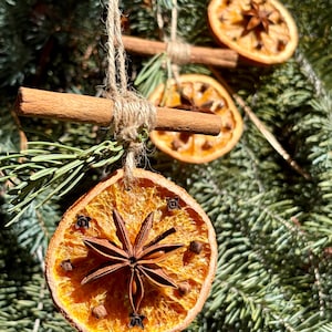 May include: Close-up of handmade Christmas ornaments. Each ornament features a dried orange slice adorned with star anise and cloves, suspended by twine. Cinnamon sticks are also incorporated into the design, adding a rustic touch. The ornaments hang against a backdrop of evergreen branches.