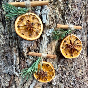 May include: Three handmade Christmas ornaments. Each ornament features a dried orange slice, star anise, and cloves, accented with a cinnamon stick and sprigs of greenery. The ornaments are suspended by twine, perfect for holiday decor.