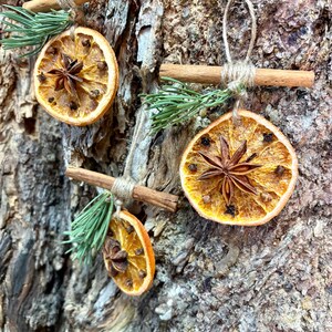 May include: Three handmade Christmas ornaments. Each ornament features a dried orange slice, star anise, and cloves, accented with a sprig of evergreen and a cinnamon stick. The ornaments are suspended by twine.