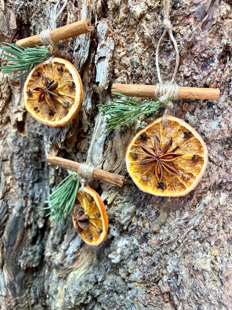 May include: Three handmade Christmas ornaments. Each ornament features a dried orange slice, star anise, and cloves, accented with a sprig of evergreen and a cinnamon stick. The ornaments are suspended by twine.