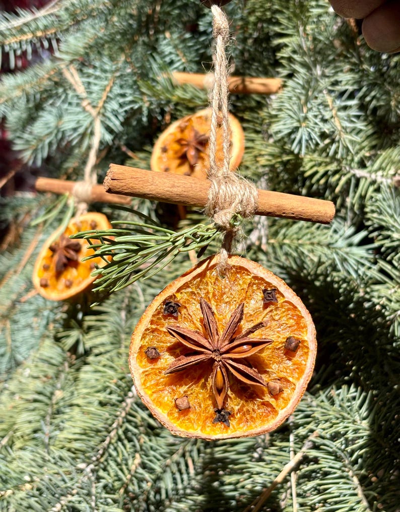 May include: Close-up of Christmas tree ornaments. Each ornament is a dried orange slice, decorated with star anise and cloves, and suspended by twine. Cinnamon sticks and evergreen sprigs are also incorporated into the design, creating a rustic, natural aesthetic.