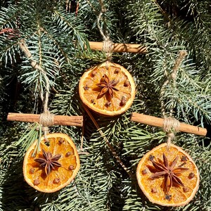May include: Three handmade Christmas ornaments. Each ornament features a dried orange slice decorated with cloves and a star anise. They are suspended by twine and cinnamon sticks, set against a backdrop of evergreen branches.