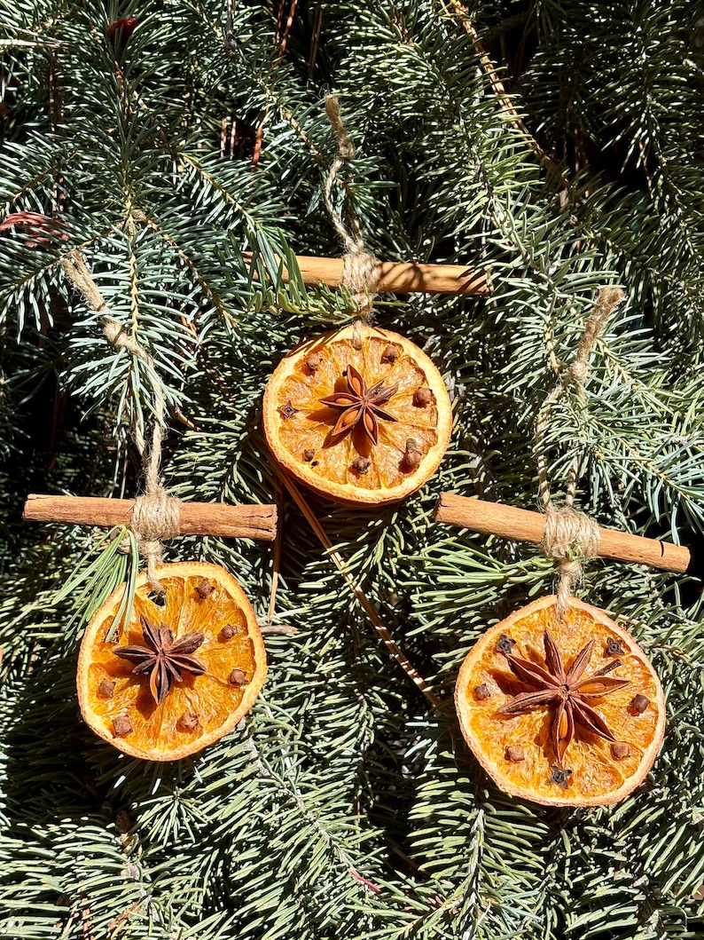 May include: Three handmade Christmas ornaments. Each ornament features a dried orange slice decorated with cloves and a star anise. They are suspended by twine and cinnamon sticks, set against a backdrop of evergreen branches.