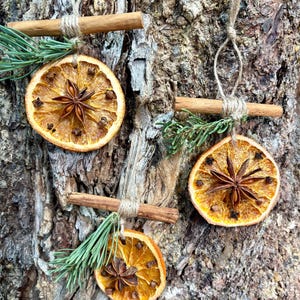 May include: Three handmade Christmas ornaments. Each ornament features a dried orange slice, star anise, and cloves, accented with a cinnamon stick and pine sprigs. The ornaments are suspended by twine, creating a rustic, natural aesthetic.