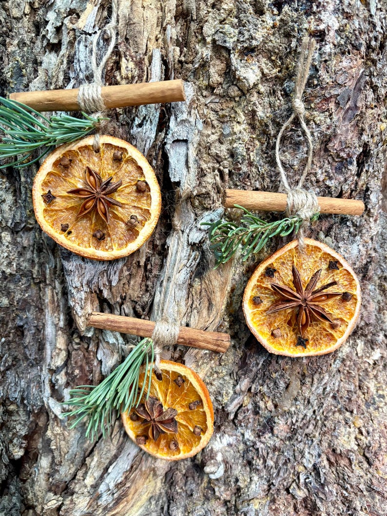 May include: Three handmade Christmas ornaments. Each ornament features a dried orange slice, star anise, and cloves, accented with a cinnamon stick and pine sprigs. The ornaments are suspended by twine, creating a rustic, natural aesthetic.