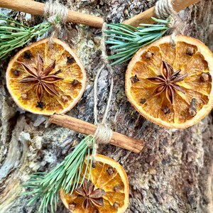 May include: Dried orange slices, star anise, and cloves are arranged with cinnamon sticks and twine for a rustic holiday decoration. Green pine needles add a touch of color. The natural elements create a warm, inviting aesthetic.
